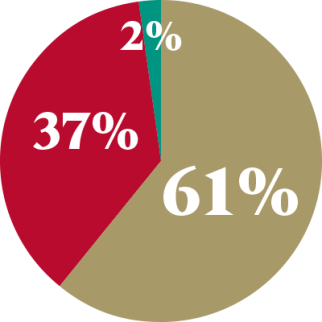 pie graph